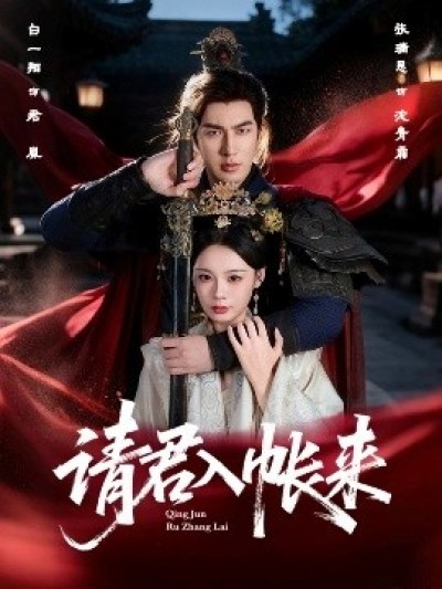《请君入帐来》免费在线观看短剧高清全集完整版