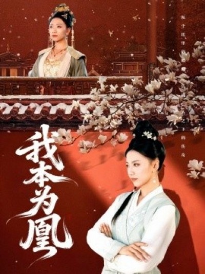 《我本为凰》免费在线观看短剧高清全集完整版
