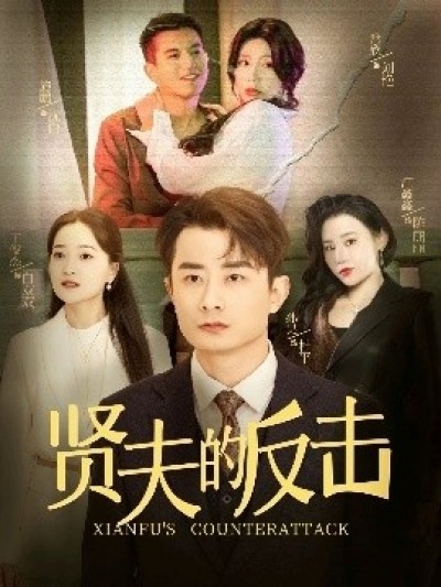 《贤夫的反击》免费在线观看短剧高清全集完整版