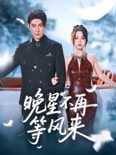 《晚星不再等风来》免费在线观看短剧高清全集完整版
