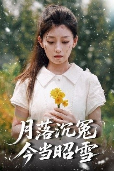 《月落沉冤今当昭雪》免费在线观看短剧高清全集完整版