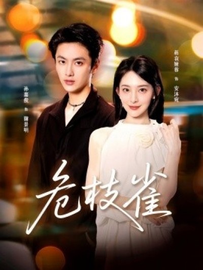 《危枝雀》免费在线观看短剧高清全集完整版