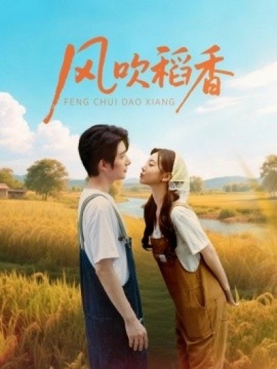 《风吹稻香》免费在线观看短剧高清全集完整版