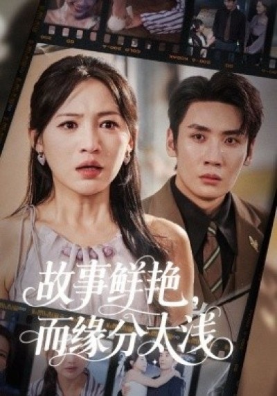 《故事鲜艳，而缘分太浅》免费在线观看短剧高清全集完整版
