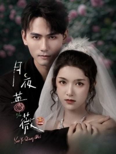 《月夜蔷薇》免费在线观看短剧高清全集完整版