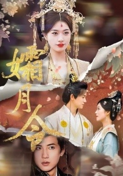 《孀月令》免费在线观看短剧高清全集完整版