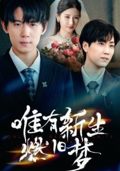 《唯有新生燃旧梦》免费在线观看短剧高清全集完整版