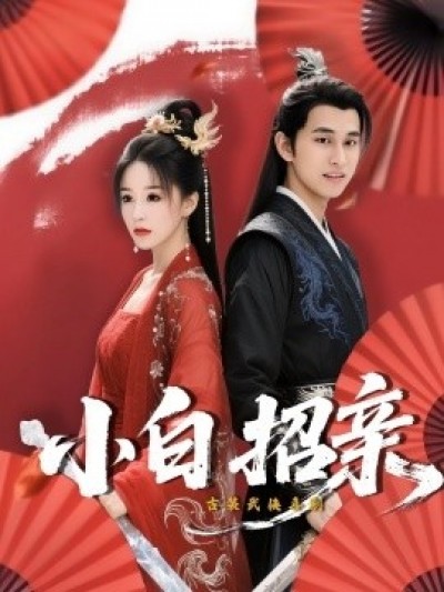 《小白招亲》免费在线观看短剧高清全集完整版