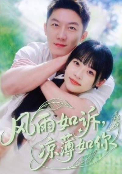 《风雨如诉，凉薄如你》免费在线观看短剧高清全集完整版