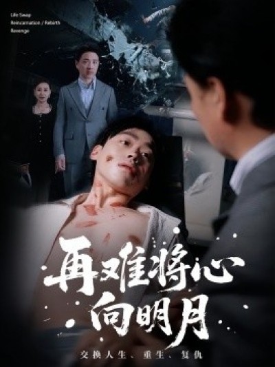 《再难将心向明月》免费在线观看短剧高清全集完整版