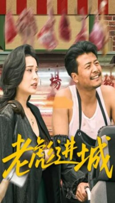 《老彪进城》免费在线观看短剧高清全集完整版