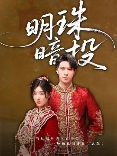 《明珠暗投明珠暗投》免费在线观看短剧高清全集完整版