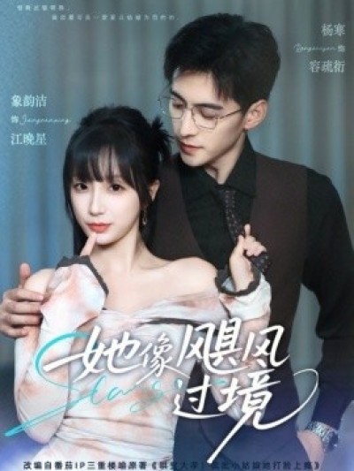 《她像飓风过境》免费在线观看短剧高清全集完整版