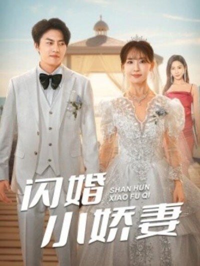 《闪婚小娇妻》短剧高清全集免费在线观看