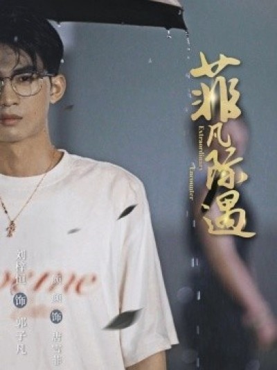 《菲凡际遇》免费在线观看短剧高清全集完整版