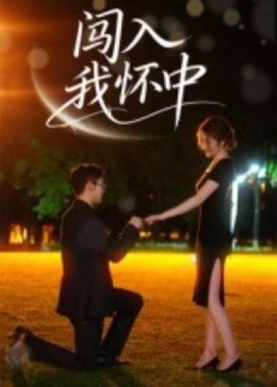 《闯入我怀中》免费在线观看短剧高清全集完整版
