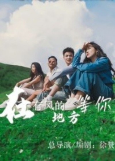 《在有风的地方等你》免费在线观看短剧高清全集完整版