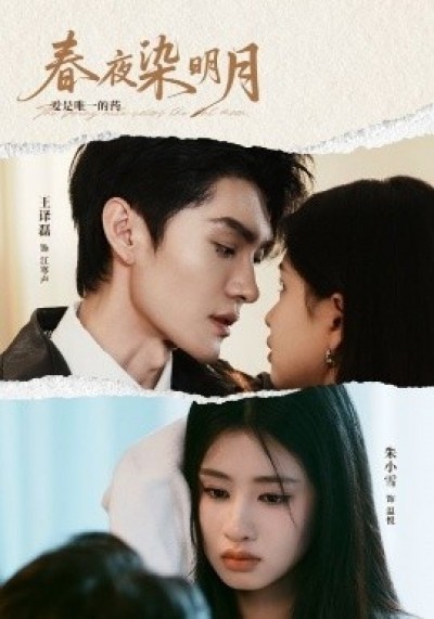 《春夜染明月》免费在线观看短剧高清全集完整版