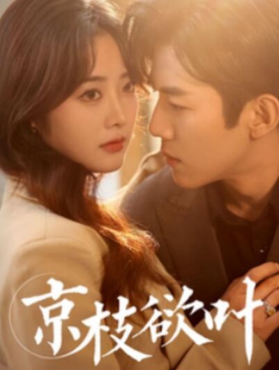《京枝欲叶》短剧高清全集免费在线观看播放完整版
