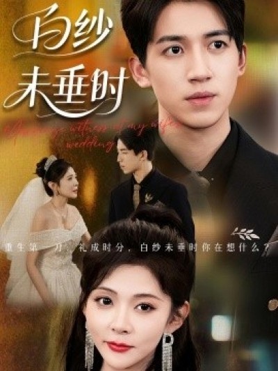 《白纱未垂时》免费在线观看短剧高清全集完整版