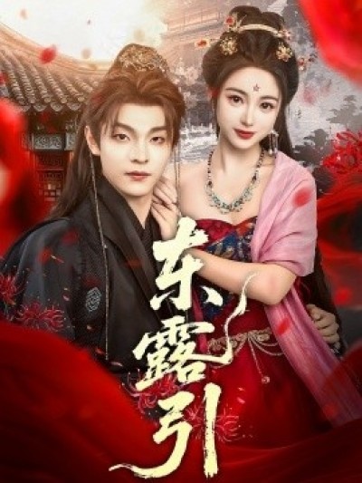 《东露引》免费在线观看短剧高清全集完整版