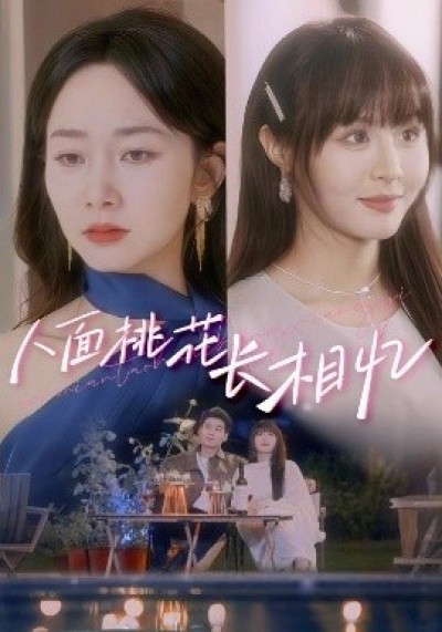《人面桃花长相忆》免费在线观看短剧高清全集完整版