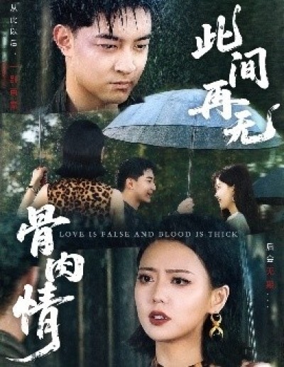 《此间再无骨肉情》免费在线观看短剧高清全集完整版