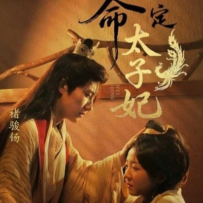 《命定太子妃》免费在线观看短剧高清全集完整版