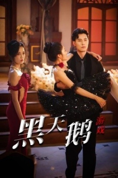 《黑天鹅游戏》免费在线观看短剧高清全集完整版