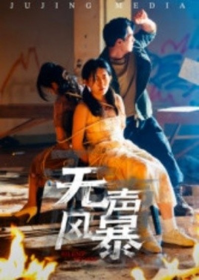 《无声风暴》免费在线观看短剧高清全集完整版