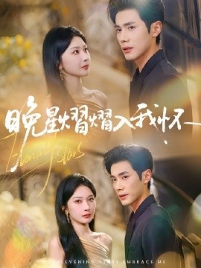 《晚星熠熠入我怀》免费在线观看短剧高清全集完整版