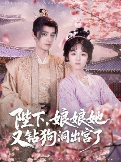 《陛下，娘娘她又钻狗洞出宫了》免费在线观看短剧高清全集完整版