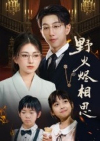 《野火烬相思》免费在线观看短剧高清全集完整版