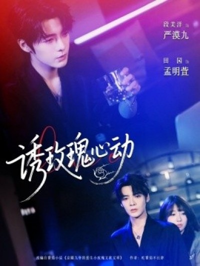《诱玫瑰心动》免费在线观看短剧高清全集完整版