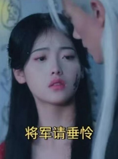 《将军请垂怜》短剧高清全集免费在线观看播放完整版