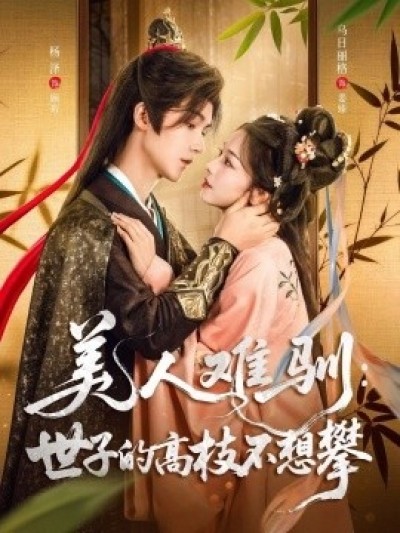 《美人难驯：世子的高枝不想攀》免费在线观看短剧高清全集完整版