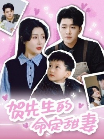 《贺先生的命定甜妻》免费在线观看短剧高清全集完整版