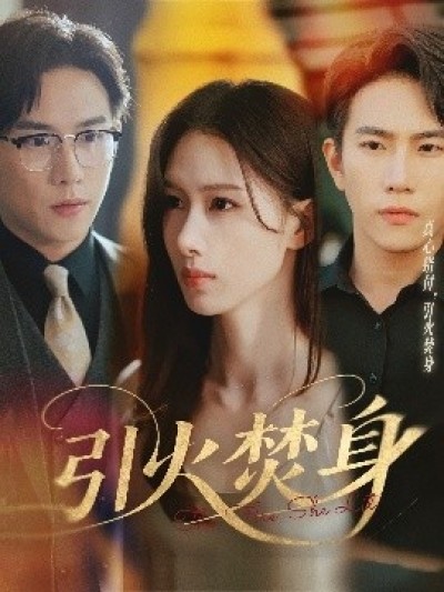 《引火焚身》免费在线观看短剧高清全集完整版