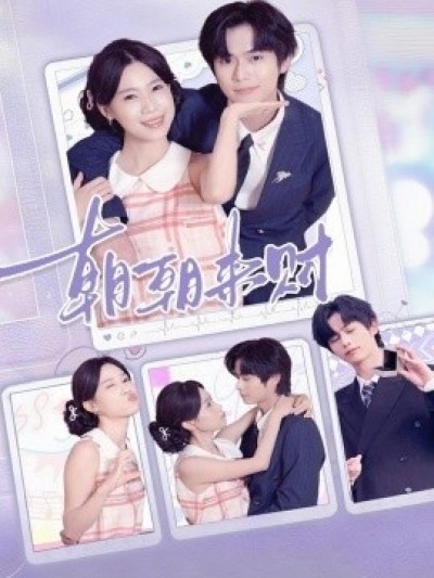 《朝朝来财》免费在线观看短剧高清全集完整版