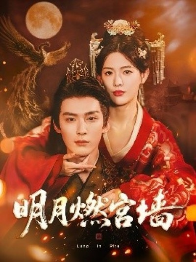 《明月燃宫墙》免费在线观看短剧高清全集完整版