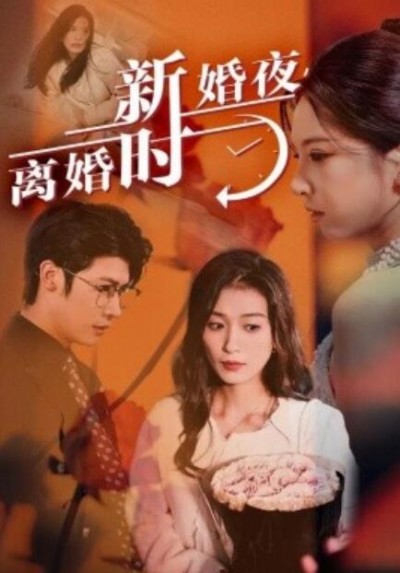 《新婚夜，离婚时》短剧高清全集免费在线观看