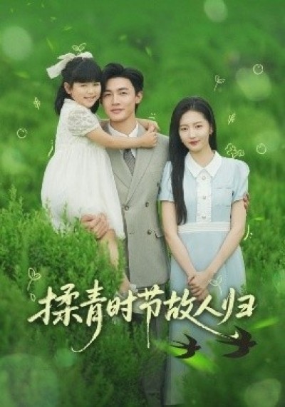 《揉青时节故人归》免费在线观看短剧高清全集完整版