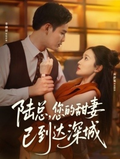 《陆总，您的甜妻已到达深城》免费在线观看短剧高清全集完整版