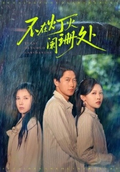 《不在灯火阑珊处》免费在线观看短剧高清全集完整版