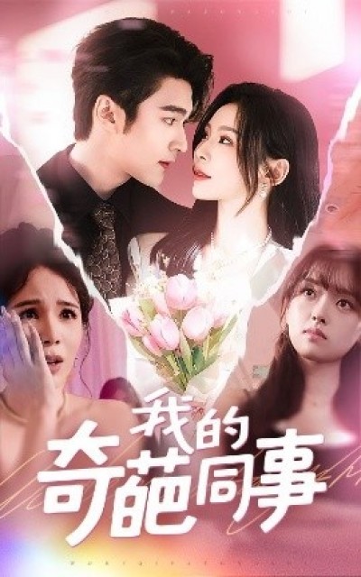 《我的奇葩同事》免费在线观看短剧高清全集完整版