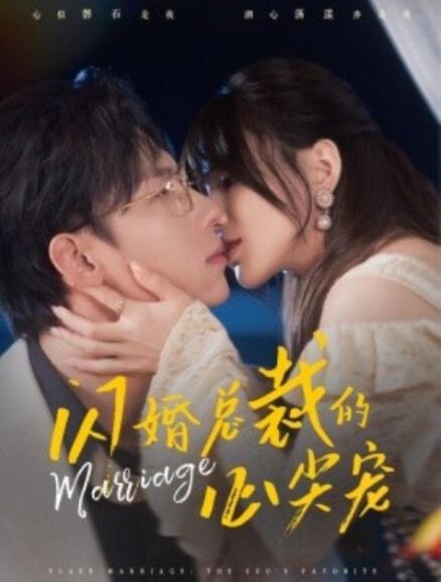 《闪婚总裁的心尖宠》短剧高清全集免费在线观看