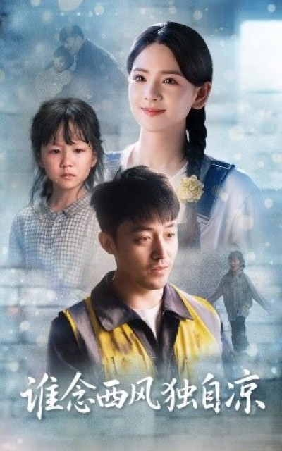 《谁念西风独自凉》免费在线观看短剧高清全集完整版