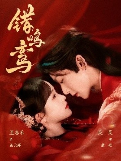 《错鸣鸾》免费在线观看短剧高清全集完整版