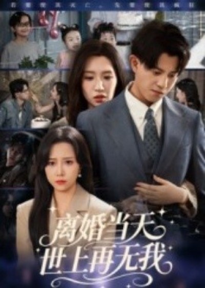 《离婚当天，世上再无我》免费在线观看短剧高清全集完整版