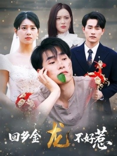 《回乡金龙不好惹》免费在线观看短剧高清全集完整版